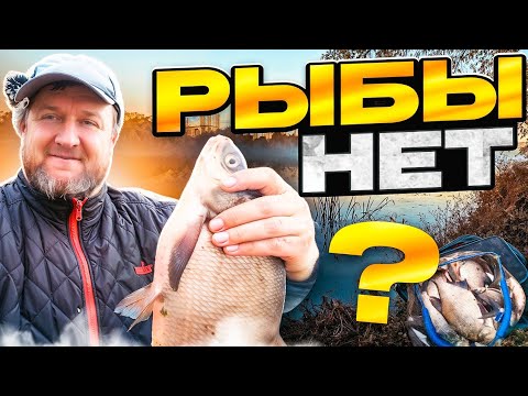 Видео: Говорят в Капотне рыбы нет! Рыба то знает об этом???