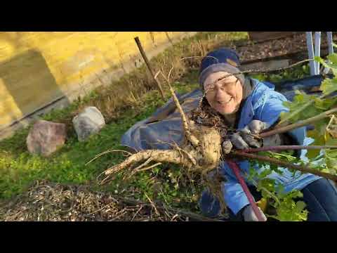 Видео: Продолжаем сезон!