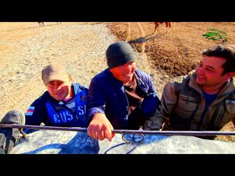 Видео: Кисми 4уми Бузкашии д Сор 10 11 2024 UMED VIDEO. ZARAFSHON