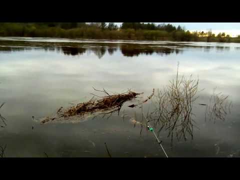 Видео: Рыбалка и город без Дорог