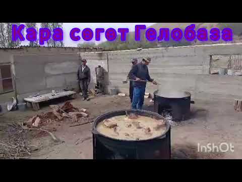 Видео: Кара сөгөт айылы