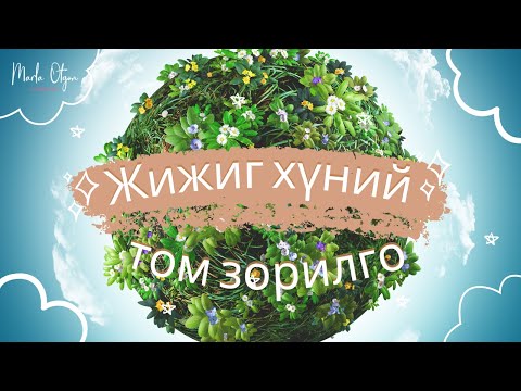 Видео: Жижиг хүний Том зорилго