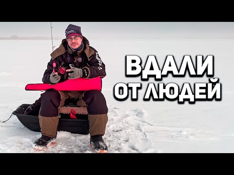 Видео: Ушел от толпы и наткнулся на стаю. Ловля окуня зимой на балансир. Зимняя рыбалка