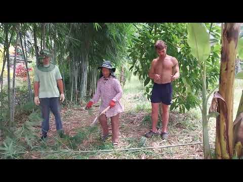Видео: 🔥 НЕВЕРОЯТНО: Убираем джунгли на тайской ферме - НАСТОЯЩАЯ ЖИЗНЬ в Краби (Таиланд Влог)