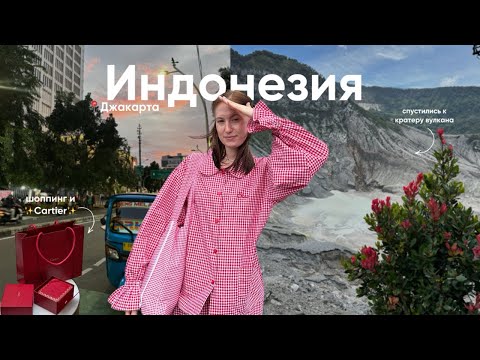 Видео: влог из Индонезии | кратер вулкана, джунгли, Джакарта, шоппинг и распаковка 🍨