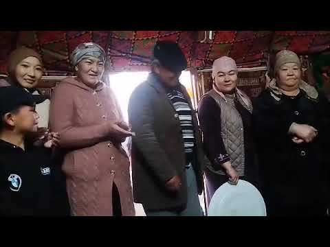 Видео: 26 октября 2025 г.