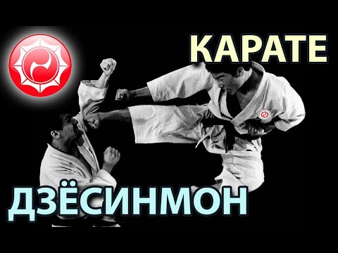 Видео: ДЗЁСИНМОН: современное Карате древнего стиля.