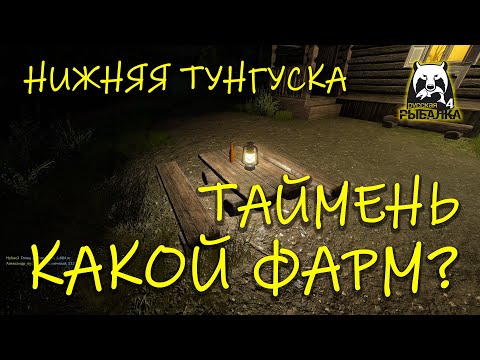 Видео: Русская рыбалка 4. рр4. Нижняя тунгуска. Таймень.