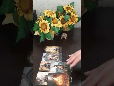 Видео: КАК МЕНЯ  ВИДЯТ КОЛЛЕГИ🤩!