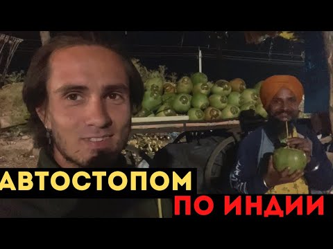 Видео: БЕЗ ДЕНЕГ ПО ИНДИИ. РЕАЛЬНО?