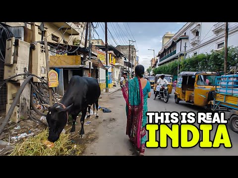 Видео: 🇮🇳 Вы не поверите: улицы Индии 2025: Симфония гудков, хаоса и единения 😲 4K