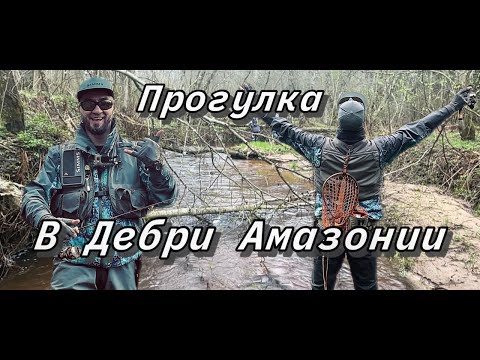 Видео: Форель весной на спиннинг. Открытие Форелевого сезона 2024г. Прогулка в Дебрях.