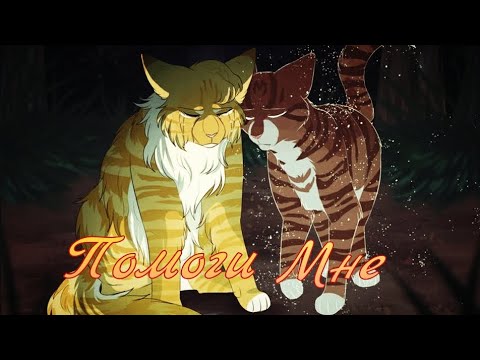 Видео: Коты Воители Мотылинка: Помоги мне [Город 312]