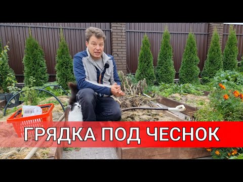 Видео: ХОЧЕШЬ КРУПНЫЙ ЧЕСНОК подготовка ГРЯДКИ ДЛЯ ПОСАДКИ ЧЕСНОКА какие удобрения и сколько внести для чес