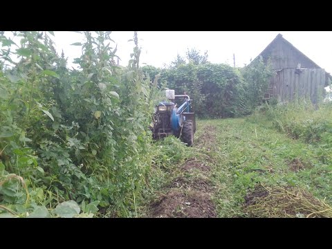 Видео: Мульчер! Зверь в бурьяне!!!