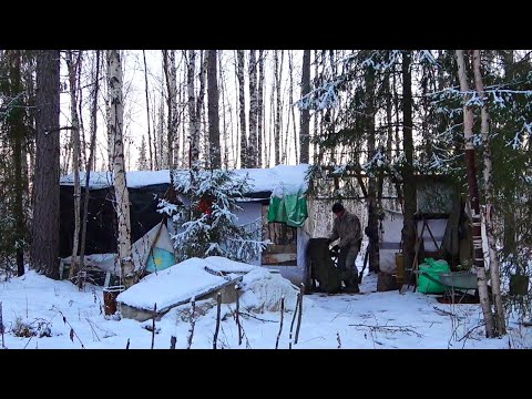 Видео: Осенний поход. Лесная изба - балаган. Таёжный быт. Ночёвка в лесу. Лесная кухня. Один в тайге. Север