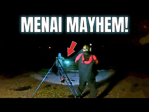 Видео: НЕ МОГУ ПОВЕРИТЬ, ЧТО МЫ ПОПАЛИЛИ ЭТУ РЫБУ❗️Рыбалка в проливе Менай, Великобритания