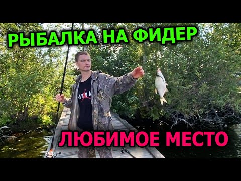 Видео: Утренняя летняя рыбалка в Рефтинском. Наш любимый залив. Рефтинское водохранилище.