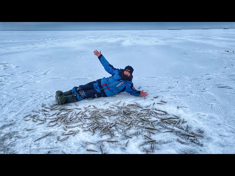 Видео: ПОЙМАЛ МНОГО КРУПНОЙ КОРЮШКИ НА ФИНСКОМ ЗАЛИВЕ |  ЛУЧШАЯ РЫБАЛКА НА КОРЮШКУ В МОЕЙ ЖИЗНИ