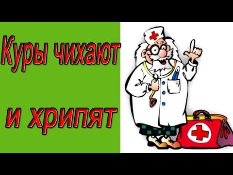 Видео: Ингаляция. Куры чихают и хрипят. Ингаляция однохлористым йодом