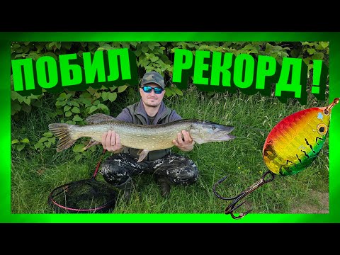 Видео: ЛОВЛЯ ЩУКИ НА СПИННИНГ ! Щука на блесну. рыбалка в Германии. Рыбалка 2024