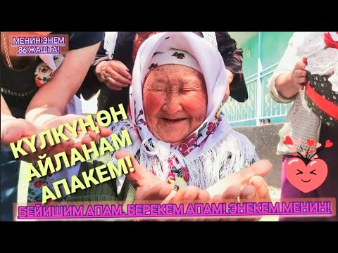 Видео: БАСКАН ИЗИҢИЗГЕ ГҮЛ ӨССҮН АПА!