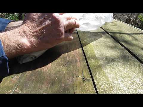 Видео: черенкование киви