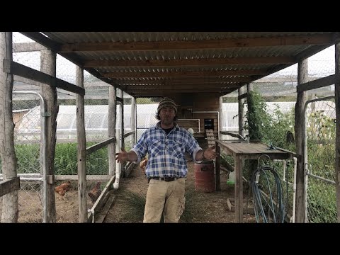 Видео: Дизайн курятника с огородом — просто потрясающе!