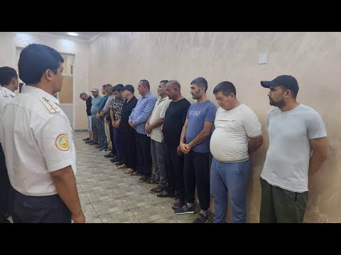 Видео: Барномаи нави МИЛИТСИЯ ХАБАР МЕДИХАД №16