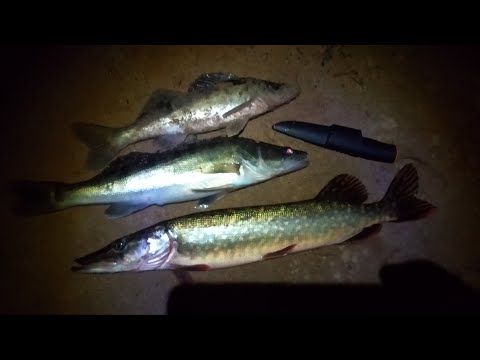 Видео: Рыбалка. Судак на джиг. Китайская Приманка Выручила