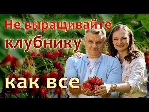 Видео: Хитрости для клубники, которые вам не скажут