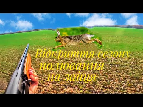 Видео: ОХОТА НА ЗАЙЦА сезон 2025 года., как нас с товарищем зайчик обхитрил...