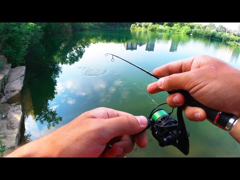 Видео: Вперёд Плотва!  Мормышинг в городе! Ловля плотвы и окуня на спиннинг