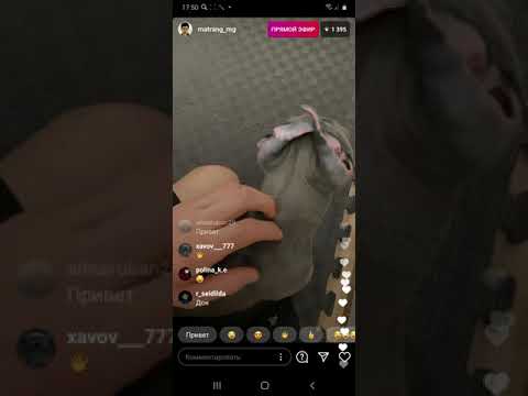 Видео: MATRANG - Прямой эфир в инстаграме 14.11.2020