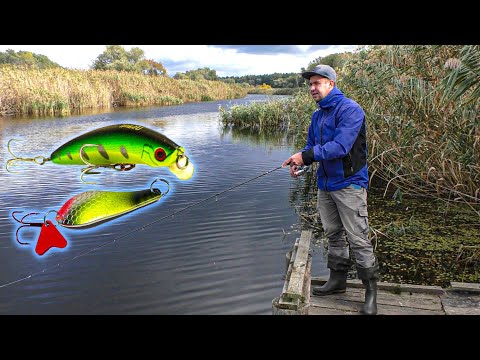 Видео: Тільки ТАК! 🐟🐟🐟 ЩУКА НА не великій ГЛИБИНІ воблер і блешні.