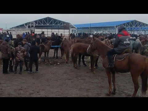 Видео: СОКУЛУК МАЛ БАЗАРЫ ЖЫЛКЫ БАЗАР 10- НОЯБРЬ