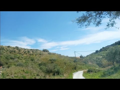 Видео: 112/ Птичите песни | Разходка до градината | Чановете ...