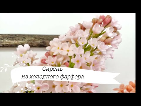 Видео: Распустившийся цветок сирени из холодного фарфора.| Как слепить цветок.|