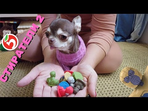 Видео: Стиратели 2 из Пятерочки. Обзор коллекции! Попался самый редкий герой!