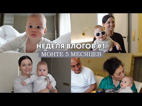 Видео: НЕДЕЛЯ ВЛОГОВ #1 // День рождения Монте - ему 5 месяцев! Родительский дом теперь - гости?