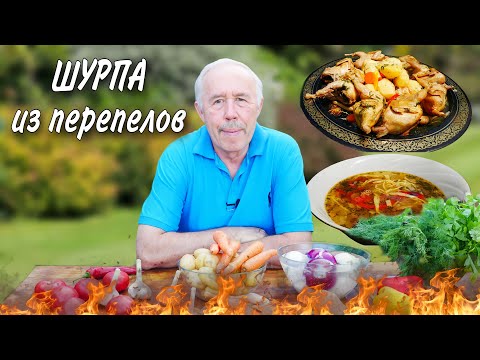 Видео: ВКУСНАЯ ШУРПА из ПЕРЕПЕЛОВ с ДОМАШНЕЙ ЛАПШОЙ в КАЗАНЕ на КОСТРЕ