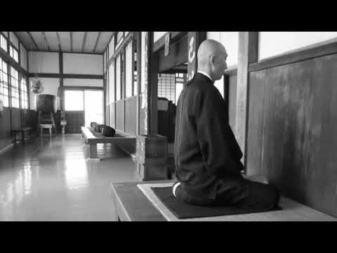 Видео: Акупунктурная игла дзадзен. Теншин Дзенки