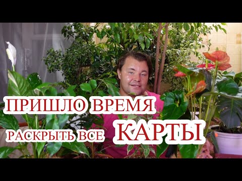 Видео: ЗИМНЕГО ОГОРОДА НЕ БУДЕТ? Чем займёмся зимой - ВОПРОС/ОТВЕТ.