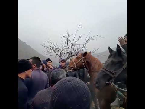 Видео: Остуру айылы шахта талаш