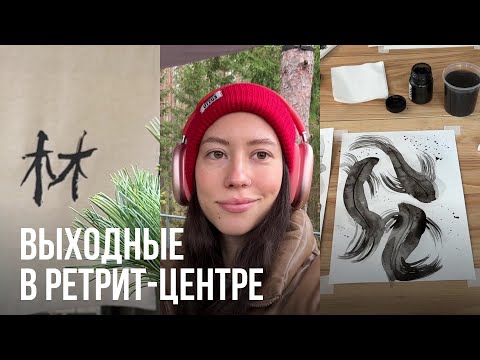 Видео: Как я ездила на ретрит / влог / Dzen forest 🌳