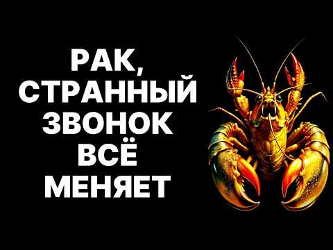 Видео: 🔴♋Рак, остановись! 💰Ноябрь 2025: Деньги САМИ найдут тебя! 😱Космический указ!