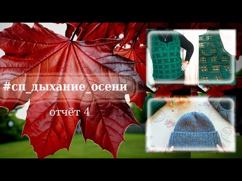 Видео: СП Дыхание осени / Отчёт 4 / Участник 31 #сп_дыхание_осени #сп_дыхание_осени_отчет4
