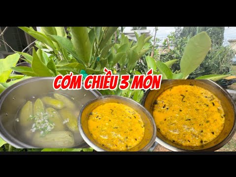 Видео: Яичные рулетики на пару, суп из горькой дыни, жареная горькая дыня, истории о горькой дыне @cobat...