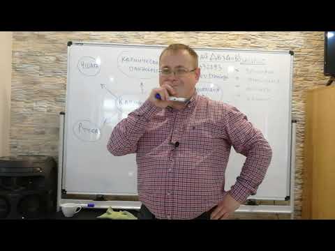 Видео: Здоровье, отношения, деньги, бизнес. Кармический менеджмент. Николай Дроздов