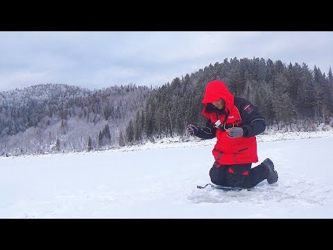 Видео: ВОТ ЭТО ПЛОТВА!!! УРАГАННАЯ РЫБАЛКА НА МОТОТОЛКАЧЕ! Первый тестовый выезд